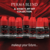 Pigment für Permanentes Make-up PERMA BLEND - A.SIVAK JET SET